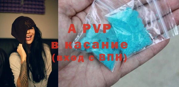 PSILOCYBIN Богданович