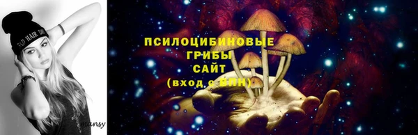 PSILOCYBIN Богданович