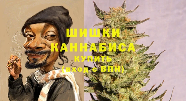 PSILOCYBIN Богданович