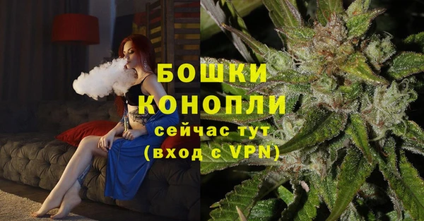 2c-b Богородицк