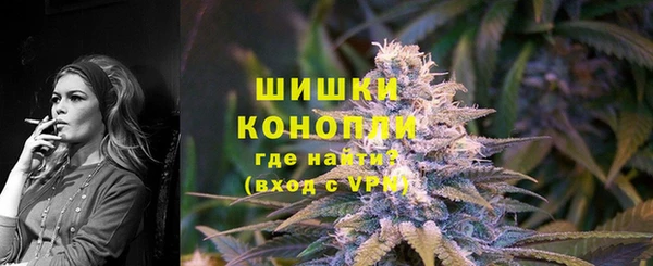 PSILOCYBIN Богданович