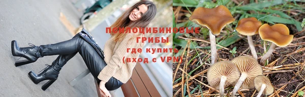 PSILOCYBIN Богданович