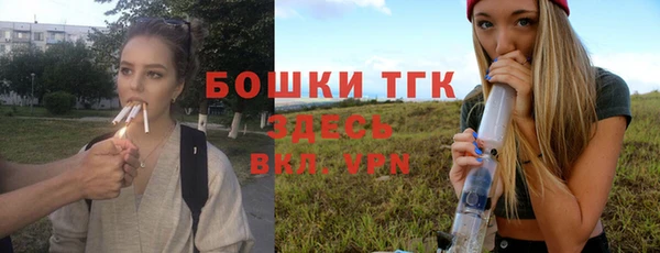 2c-b Богородицк