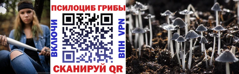 Псилоцибиновые грибы Psilocybe  Горняк 