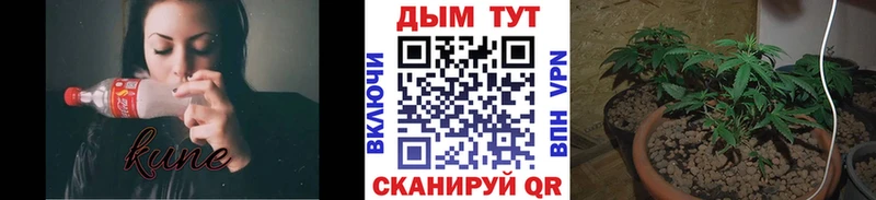 Бошки марихуана тримм Горняк